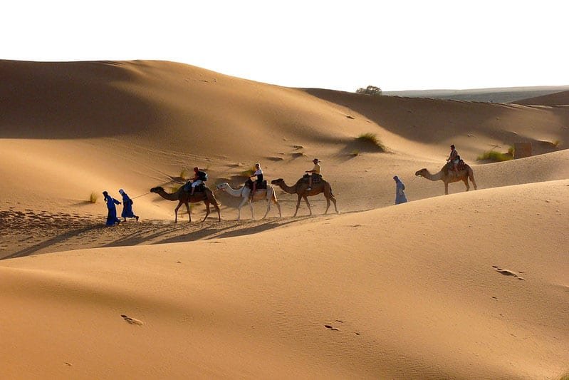 Excursion dans le désert et les dunes de Zagora