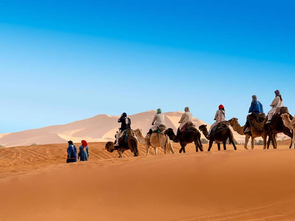 Excursion dans le désert et les dunes de Zagora